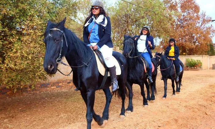 1-Hour Outride Horse Riding Experience with ESDA