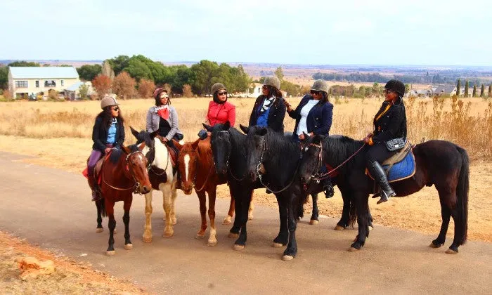 1-Hour Outride Horse Riding Experience with ESDA