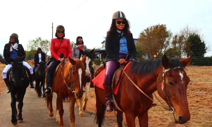 1-Hour Outride Horse Riding Experience with ESDA