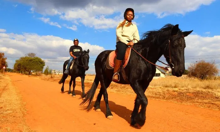 1-Hour Outride Horse Riding Experience with ESDA