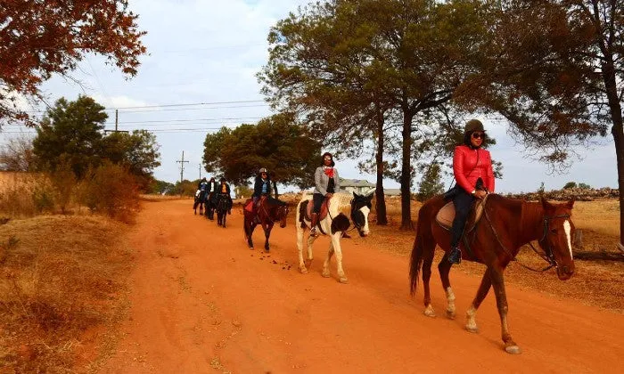 1-Hour Outride Horse Riding Experience with ESDA