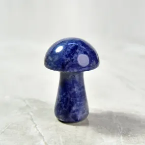 2 Sodalite Mushroom Natural Gemstone Carving