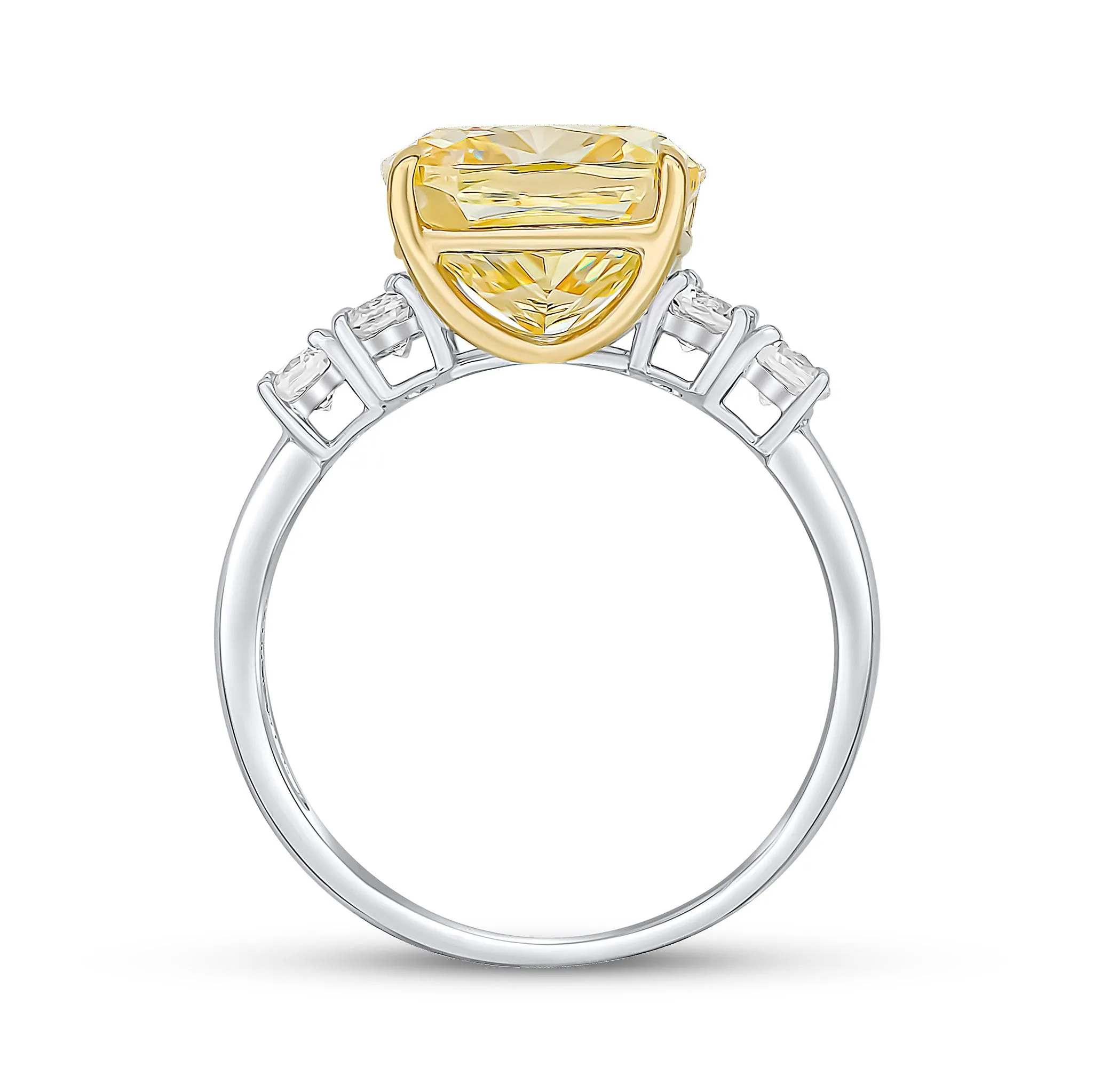 Alexa Ring (Canary)