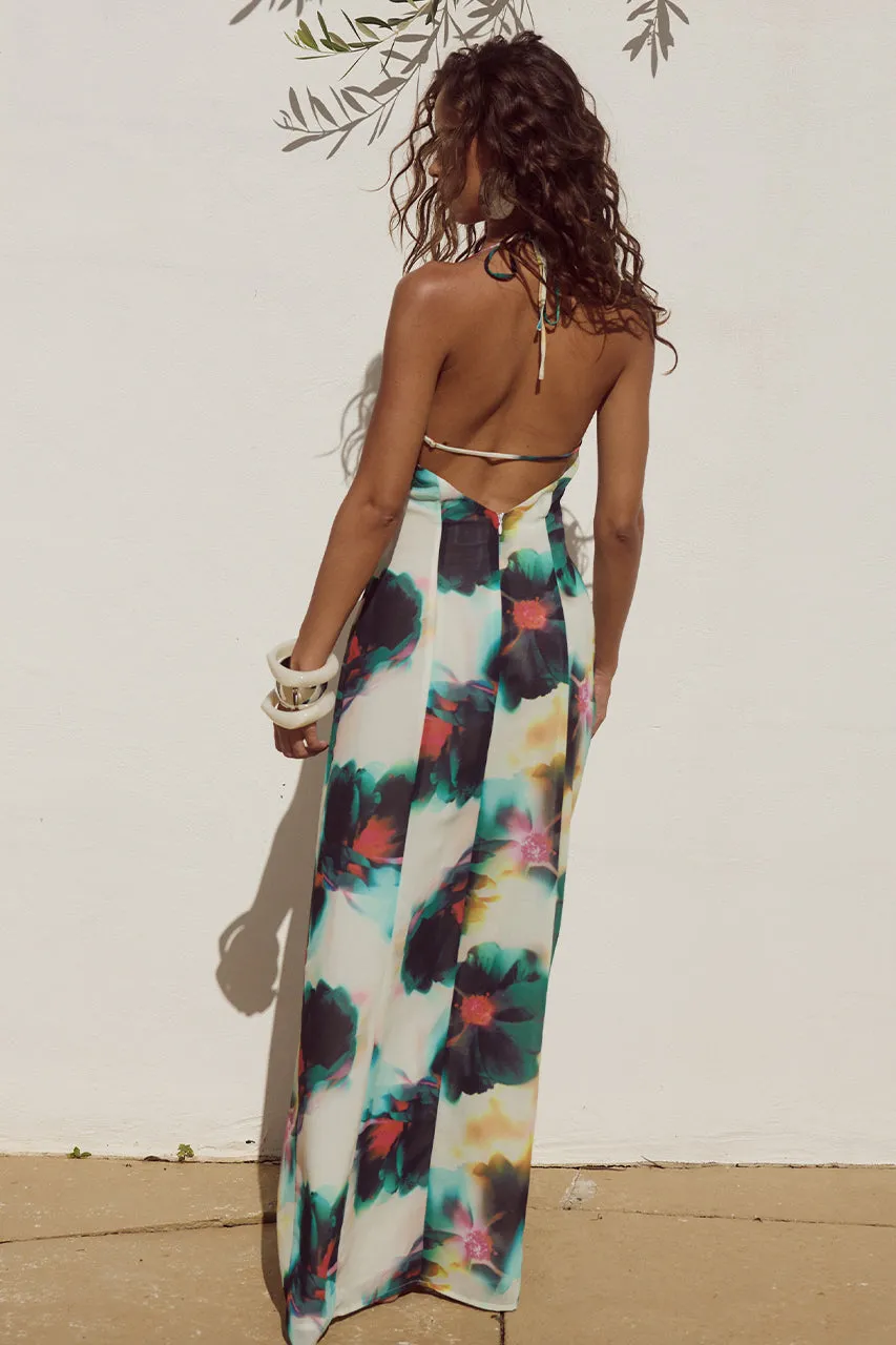 ANISSA MAXI DRESS - CAMILA PRINT