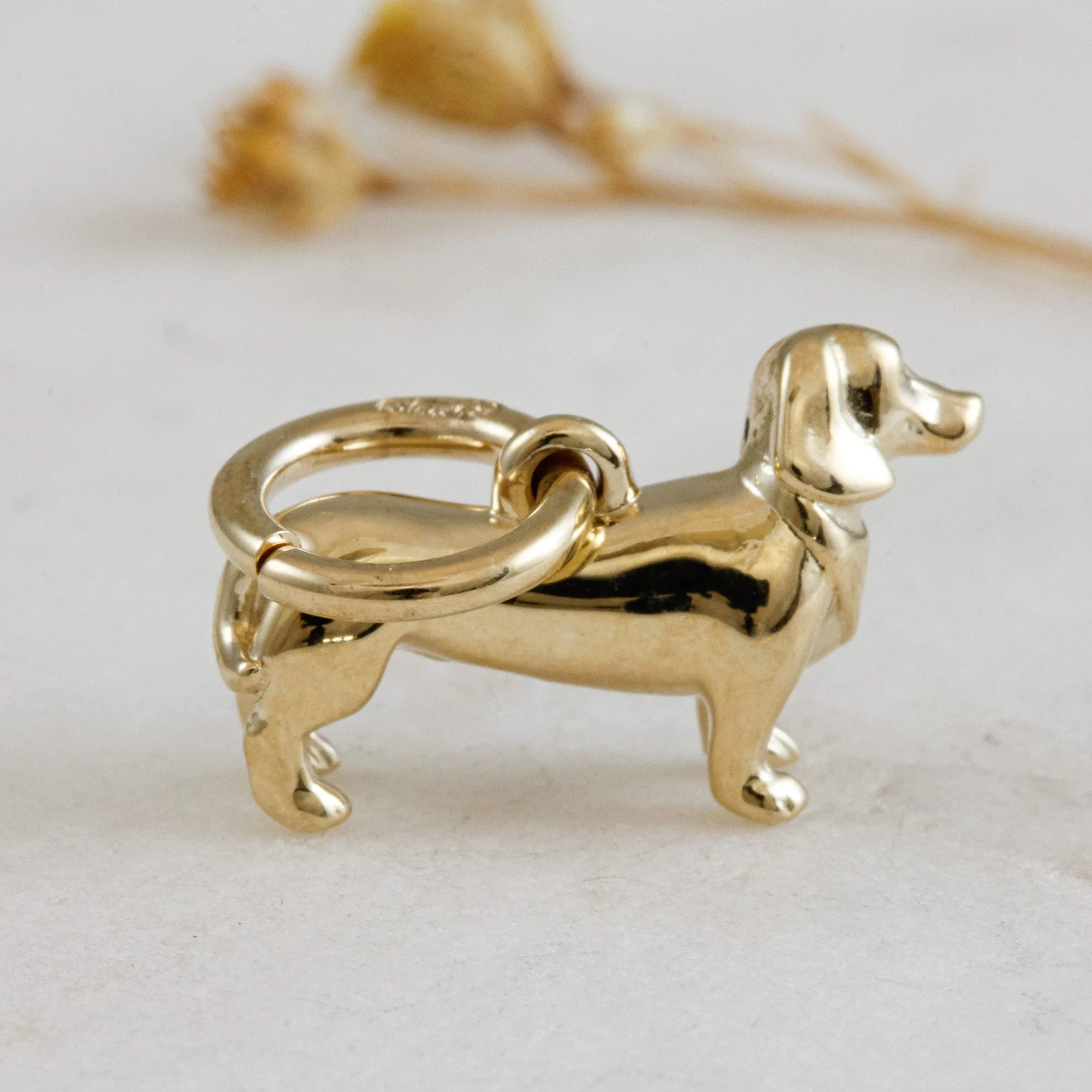 Dachshund Solid Gold Dog Charm