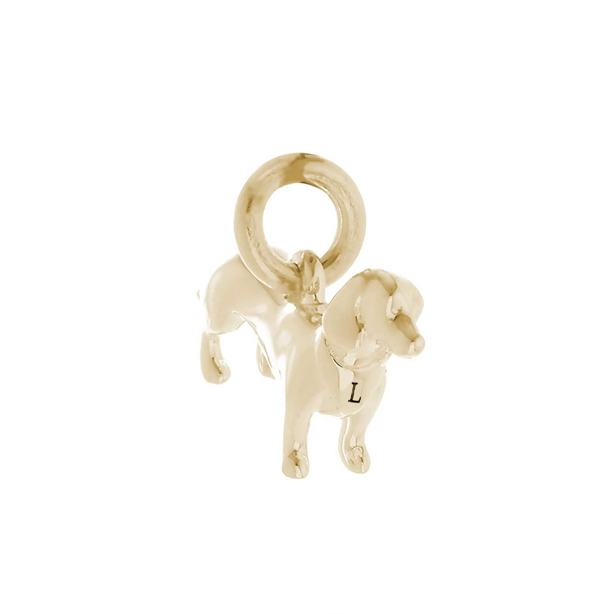 Dachshund Solid Gold Dog Charm