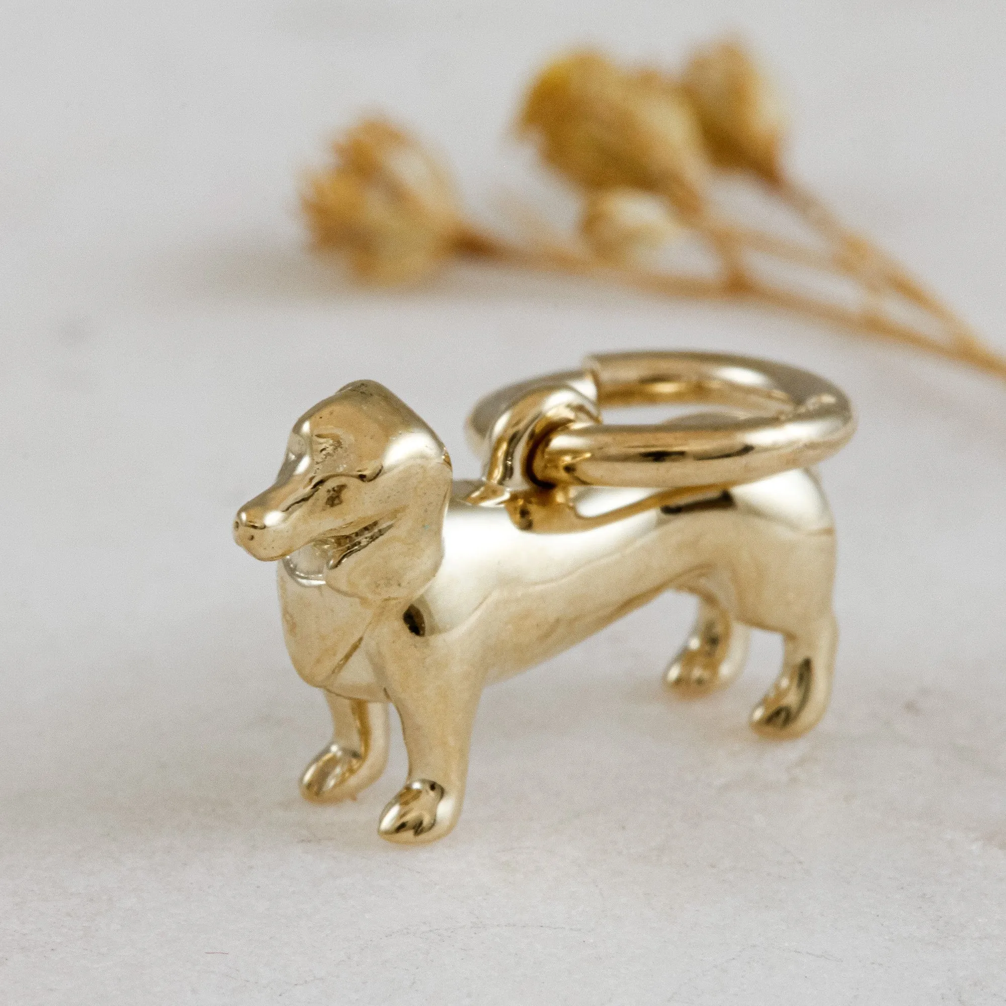 Dachshund Solid Gold Dog Charm