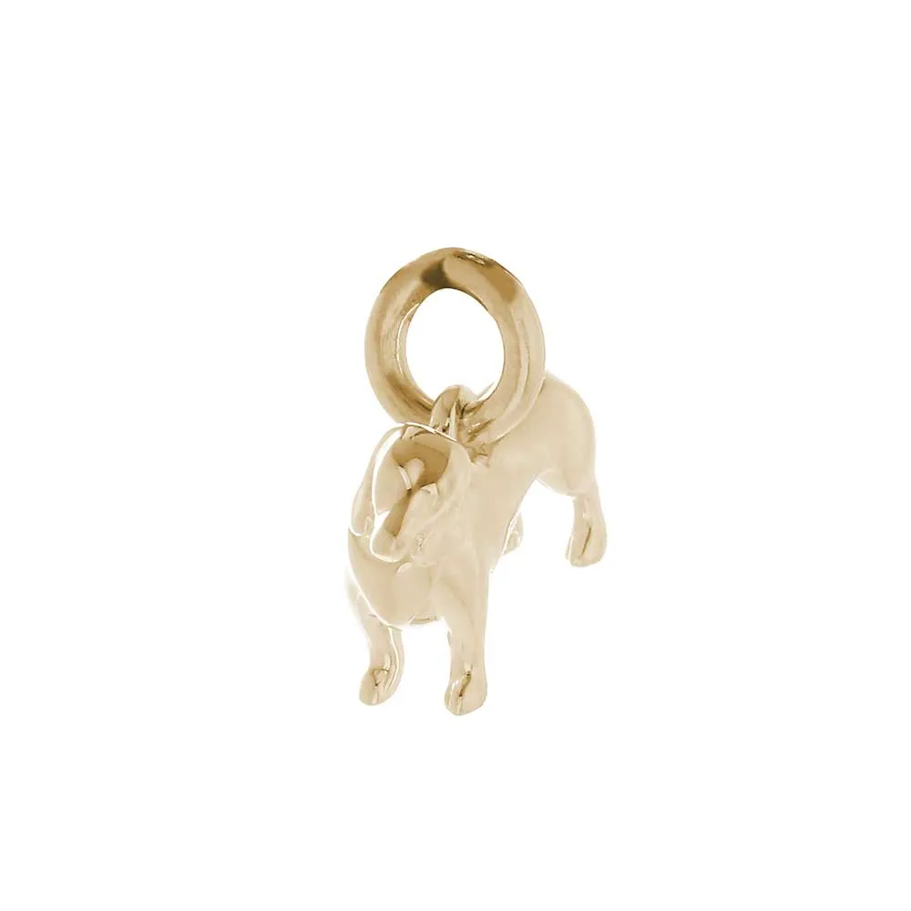 Dachshund Solid Gold Dog Charm