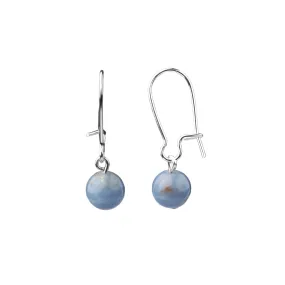 Earring | Kidney Wire - Small  | Angelite