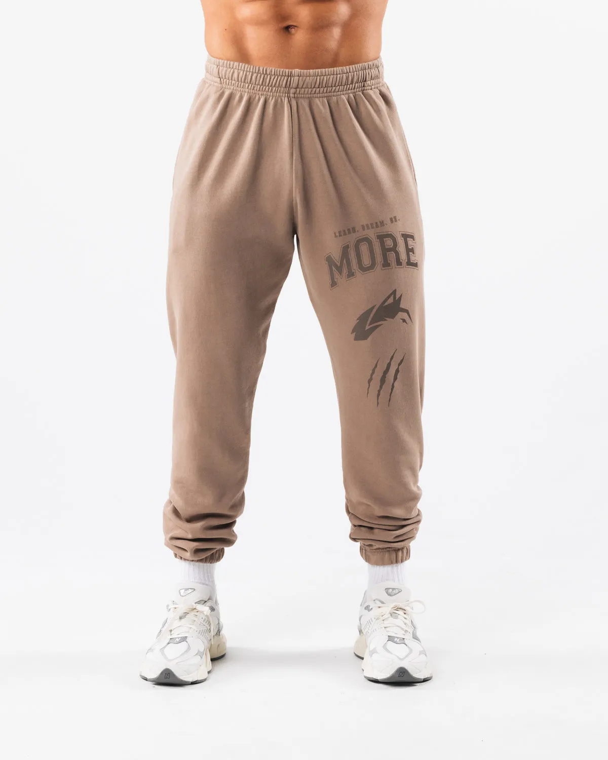 Earth Dye Graphic Jogger - Mudstone