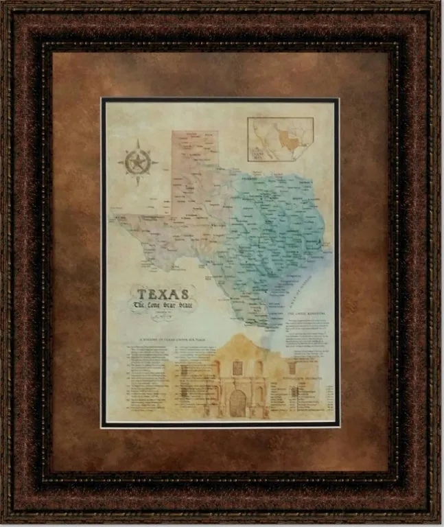 Texas Alamo Map Canvas Print